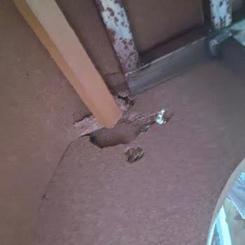 Kırılan Koltuk Ayağı Ve Cevapsız Modalife Servisi