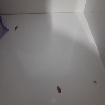 A1 Evden Eve Taşımacılık (a1 Nakliyat) Eşyalarıma Zarar Verildi
