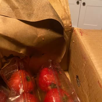 Kargolama Ve Paketlemedeki Özensizlik Nedeniyle Patlayan Domatesler İçin Ücret İadesi Talebi