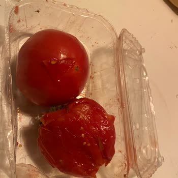 Kargolama Ve Paketlemedeki Özensizlik Nedeniyle Patlayan Domatesler İçin Ücret İadesi Talebi