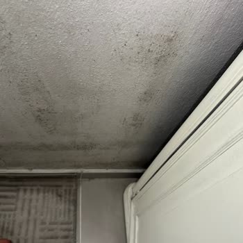 Sağlık Tehlikesi Yaratan Su Kaçağı Ve Rutubet Sorunu İzmir Bayraklı'da Çözülmüyor