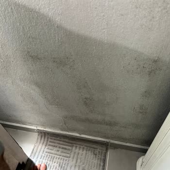 Sağlık Tehlikesi Yaratan Su Kaçağı Ve Rutubet Sorunu İzmir Bayraklı'da Çözülmüyor