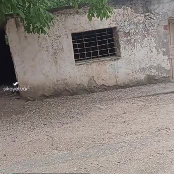 Amasya Koza Mahallesi İpekköy 'de Park Eksikliği!