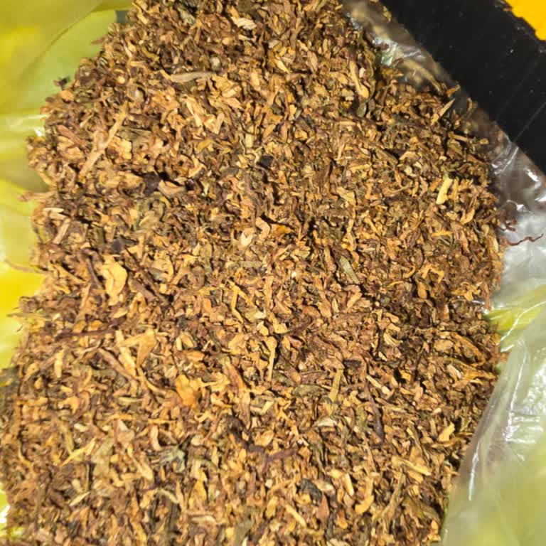 Marlboro Roll 50 Tütünde Aşırı Damar İçeriği Ve Kalite Farkı