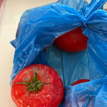 Sebze Ve Meyveler 2 Gün İçinde Çürüyor, Arçelik Buzdolabı Ücret İadesi Talebi