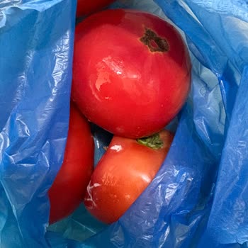 Sebze Ve Meyveler 2 Gün İçinde Çürüyor, Arçelik Buzdolabı Ücret İadesi Talebi