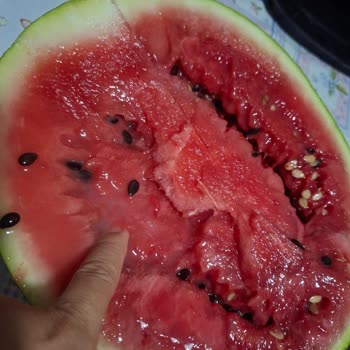 Geciken Teslimat, Çürük Ürünler Ve Müşteri Hizmetlerine Ulaşılamaması