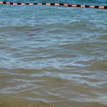Büyükada Halk Plajındaki Kirli Su Ve Yosun Sorununa Hızlı Çözüm İsteniyor
