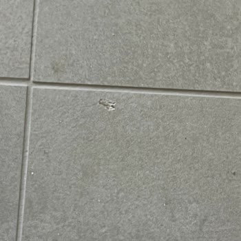 Yetkili Servisin Deneyimsiz Müdahalesi Klima Ve Evde 15 Bin TL Zarar