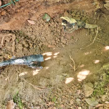 Sompo Sigorta’dan Elektrik Arızası Hasarı İçin Cevap Almama Ve 60.200 TL Ödeme Talebi