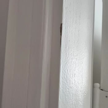 Mobilya Teslimatı Ve Montajı Sırasında Evime Ve Eşyalarıma Büyük Zarar Verildi