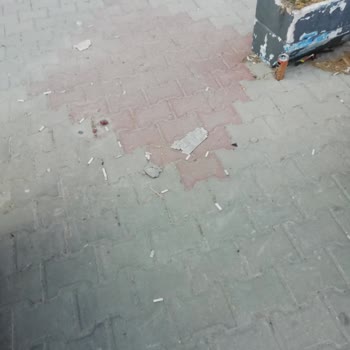 A101 Kuşadası Mağaza Önünde Çöp Çöplüğü Ve Sağlık Riski