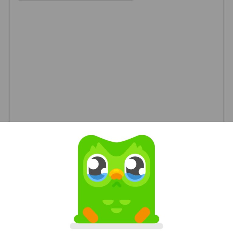 Sunucu Bağlantı Hatası Ücretli Duolingo Aboneliğinde Çözülmedi