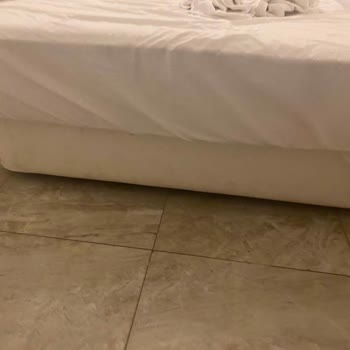 Phonix Sun Hotelde Hijyen İhmalinin Sağlık Riski Ve Ücret İadesi Talebi