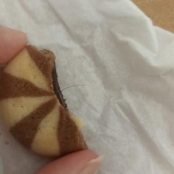 Vending Makinesinden Alınan Üründe Hijyen Sorunu
