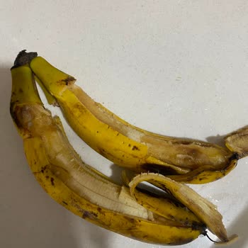 Muz, Mısır Ve Zeytin Bozulmuş, Çözüm Yok