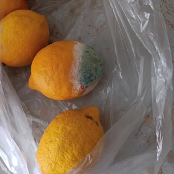 A101 Online Alışverişte Küflü Limon Ve Eksik Gramaj Şikayeti