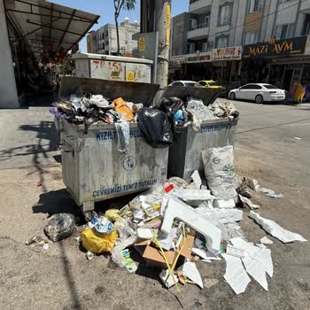 İpek Mahallesinde Barbaros Sokakta Yetersiz Çöp Konteynerleri Çevre Kirliliği Ve Hijyen Sorunu