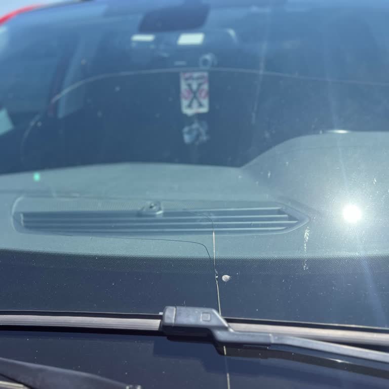 Peugeot Yetkili Servisinin Hasar Dosyası Açma Gecikmesi Müşteriyi Mağdur Etti