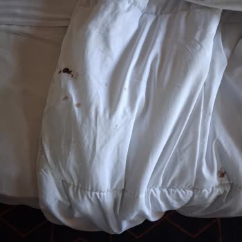 Sıcak Su, Temizlik Ve Güvenlik Sorunlarıyla Dolu Otel