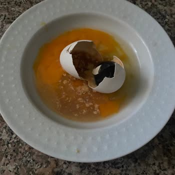 Şok Market’te Çürük Yumurta Satışı Ve Sorumluluk Reddi