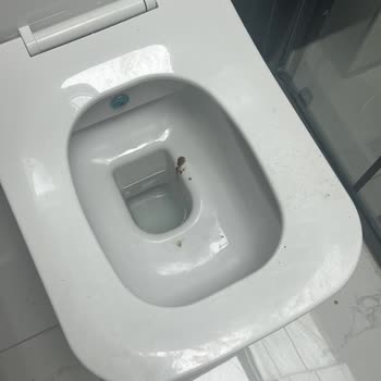Aura Temizlik Şirketi Gaziantep Aldığımız Hizmetten Memnun Kalmadık