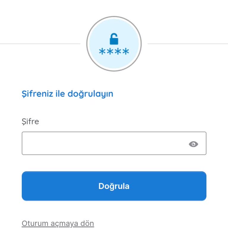 Şifre Sıfırlama Seçeneği Olmadığı İçin Hesaba Giriş Sağlanamıyor