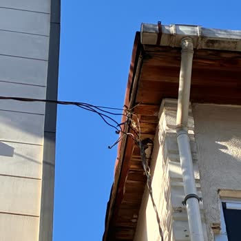 Ağaç Dalları Havai Elektrik Hattına Yaklaştı, Bina İçin Ciddi Yangın Ve Çarpma Riski