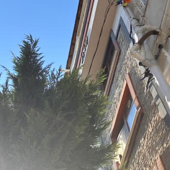 Ağaç Dalları Havai Elektrik Hattına Yaklaştı, Bina İçin Ciddi Yangın Ve Çarpma Riski