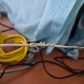 Randevu Gelmedi, İnternet Kesintisi Gün Boyu Mağdur Ediyor