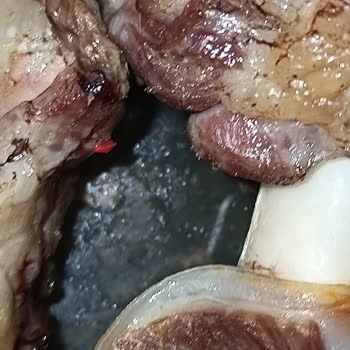 Köfteci Yusuf Şubesinde Kuzu Kol Etinde Plastik Ve Köpük Parçacıkları Bulundu