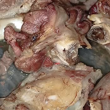 Köfteci Yusuf Şubesinde Kuzu Kol Etinde Plastik Ve Köpük Parçacıkları Bulundu