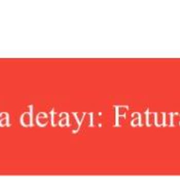 Kaydırmaz Bantlı Olması Gereken Köpek Çiş Pedi Bant Olmadan Teslim Edildi