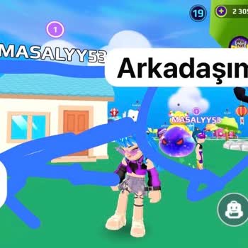 Kral Şakir Güncellemesi Sonrası Kayıp Evcil Hayvanlar Ve Sürekli Çıkma Sorunu