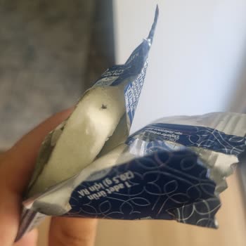 Algida Dondurmasında Sinek Ölüsü Ve Cevapsız Şikayet