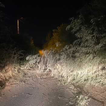 Sülüklü Mahallesindeki Dallarla Kapalı Yol Trafik Güvenliğini Tehdit Ediyor