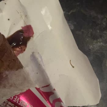Dondurmanın İçinde Plastik Parça: Sağlık Riski Ve Güven Kaybı