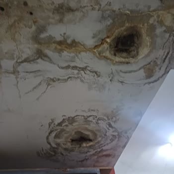 Kırık İSKİ Altyapısı Sebebiyle Apartmanda Sürekli Pis Su Sızıntısı Ve Temel Hasarı