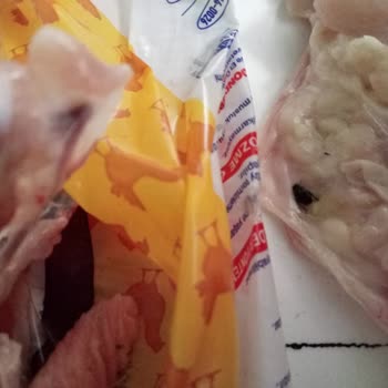 Erpiliç Piliç Ürününde Sinek Ve Tekrarlayan Kalite Sorunu