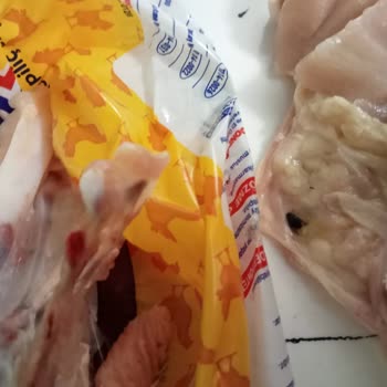 Erpiliç Piliç Ürününde Sinek Ve Tekrarlayan Kalite Sorunu