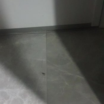 Bura Residence Site Yönetimi Yüksek Aidata Karşı Böcek, Asansör Ve Otopark Sorunları