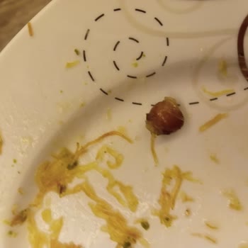 Künefe İçinden Çıkan Kiraz Çekirdeği Sağlık Ve Hijyen Endişesi