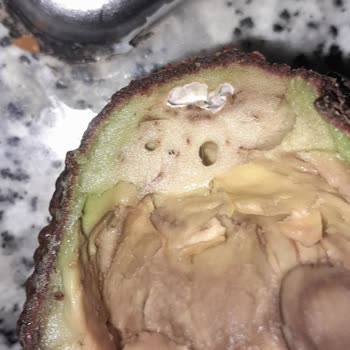 Raflarda Çürük Avokado Satışı Ve İade Talebi