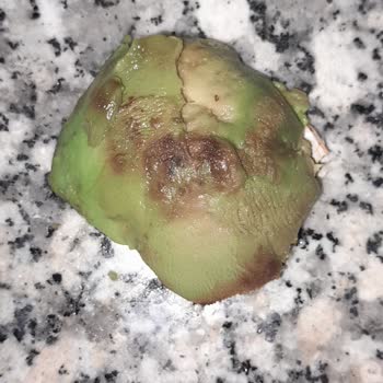 Raflarda Çürük Avokado Satışı Ve İade Talebi