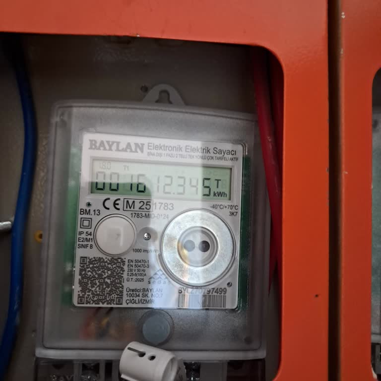 Ödeme Tamamlandı, Elektrik Açılmadı: İki Günlük Onay Beklemesi
