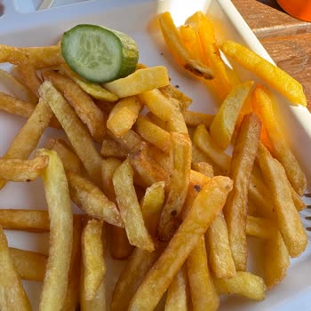 Fıstıklı Çiçek Evler Tatil Köyü Gıda Güvenliği ve Hijyen Konusunda Ciddi Sorunlar Gözlemledim