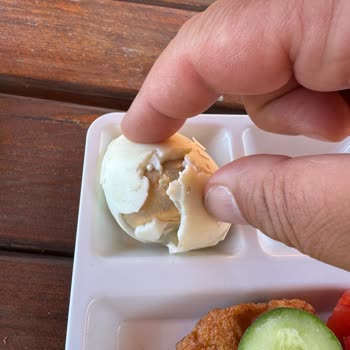 Fıstıklı Çiçek Evler Tatil Köyü Gıda Güvenliği ve Hijyen Konusunda Ciddi Sorunlar Gözlemledim