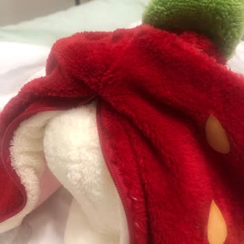Çiçek Sepeti Ayıplı Peluş Çilek Tavşan Ürünü Ve Geri Ödeme Talebi