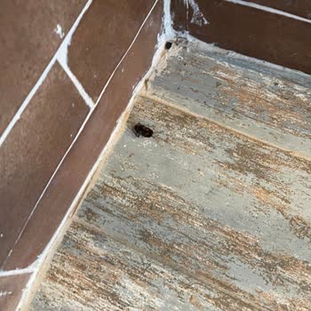Hijyen, Yemek Ve Hizmet Sorunları Nedeniyle Erken Çıkış Ve İade Talebi