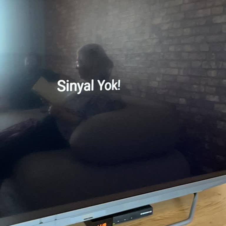 İki Hafta Süreyle TV Hizmeti Gelmemesi Ve Kurulum Ücreti Talebi